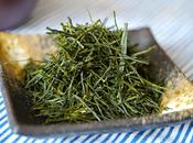 Premier shincha 2014 Sugiyama Yaeho