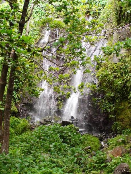 Anse des cascades, Réunion