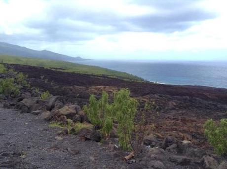 Coulées de lave, Takamaka, Réunion