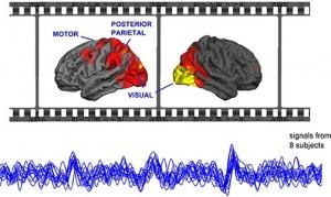 NEURO: Au cinéma, tous les cerveaux suivent aussi le même schéma – NeuroImage