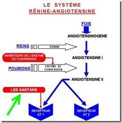 SYSTEME-RENINE-ANGIOTENSINE. action semintra