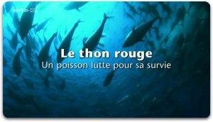 Hollande se bat pour sa survie !