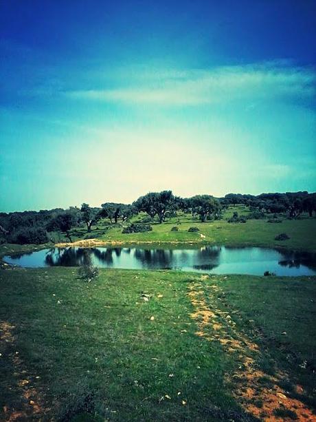 Via de la Plata.  Etape 12 en images!