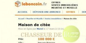 annonce_buzz_insolite