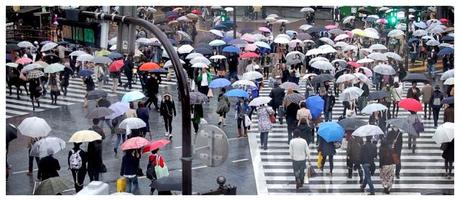Carrefour de Shibuya sous la pluie, Tokyo – Japon