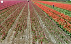 tumblr_mkpy0nF4ET1qzun8oo1_1280