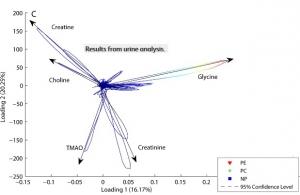 PRÉÉCLAMPSIE: Bientôt un test urinaire de détection précoce  – PLoS ONE