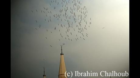 Nouvelle saison! Photo (C) Ibrahim Chalhoub