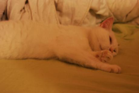 De retour chez les parents