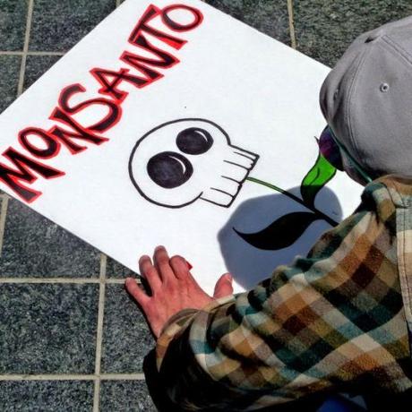 Vous Souhaitez Éviter les Produits Monsanto ? Voici La Liste des Marques à Connaître.