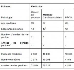 POLLUTION de l'AIR INTÉRIEUR: C'est 20.000 décès par an en France – ANSES