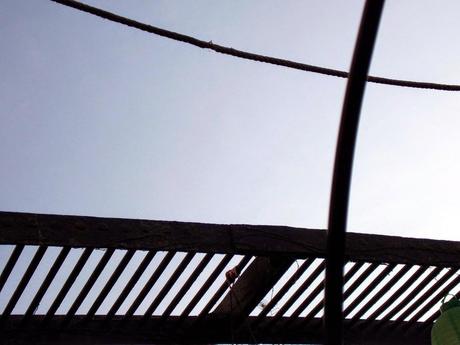 de passerelle en illusion