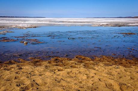 Pas de débâcle à l'horizon...