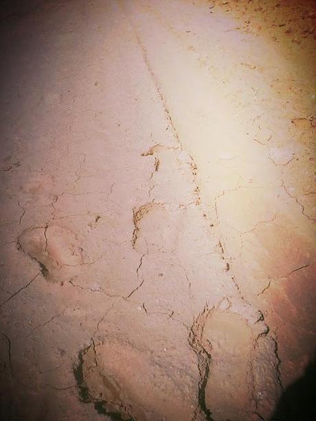 Via de la Plata . Étape 15 en images!