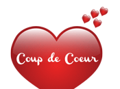 carnet Groku Sophie Laroche