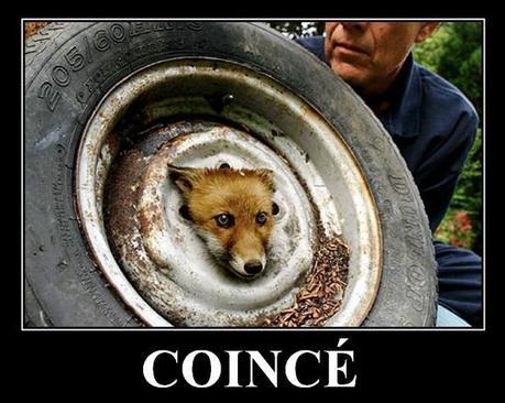 La santé n’a plus de prix coincé