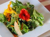 plantes s’invitent dans assiettes salade Capucines