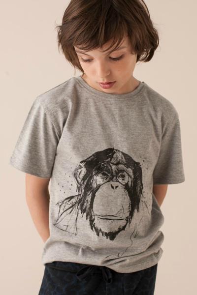 ape-tee-soft-gallery