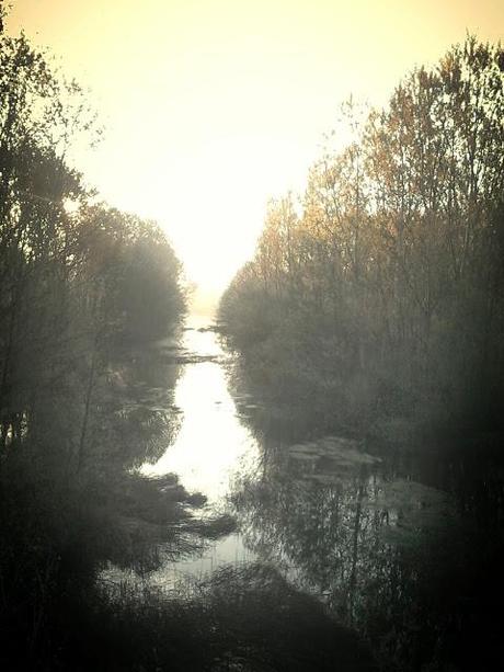 Via de la Plata.  Étape 17 en photos!