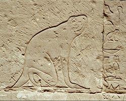 http://www.globalegyptianmuseum.org/images/glos/heqet.jpg