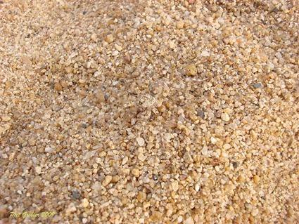 Ceci n'est pas une Nature Morte (4)