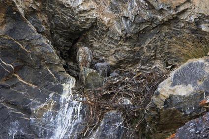 Ceci n'est pas une Nature Morte (22)