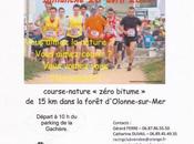 Racing Club Vendée Alfa avril 2014 #vendee