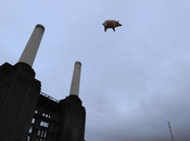 Test Rudistor Chroma