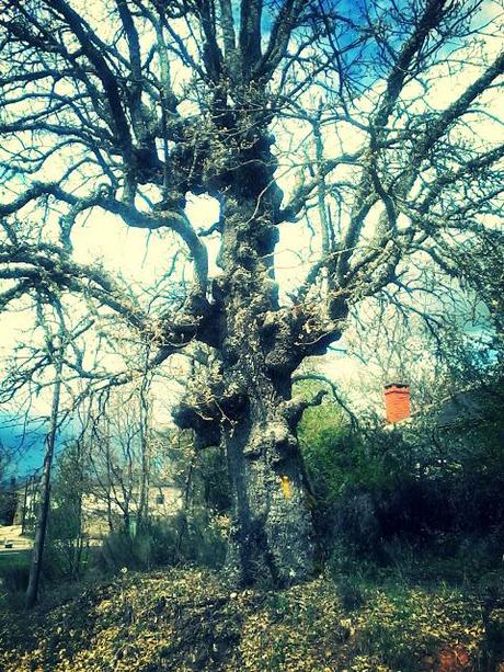 Via de la Plata.  Étape 18 en images!