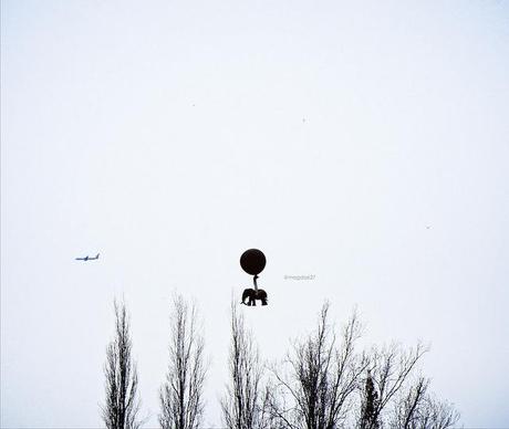 anteketborka.blogspot.com,   voler 4