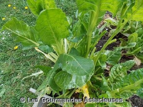 Fondue japonaise à ma façon