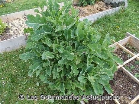 Fondue japonaise à ma façon