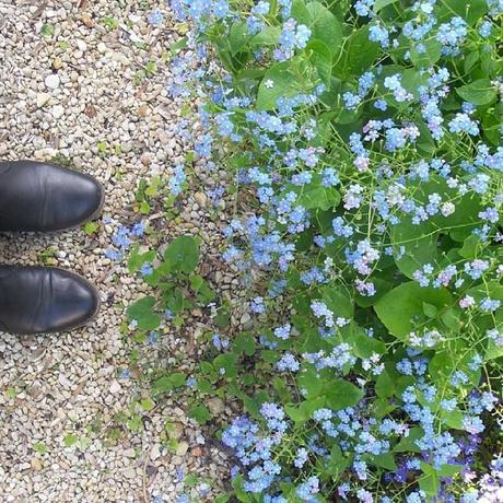 {Lifestyle} Mes p’tits bonheurs