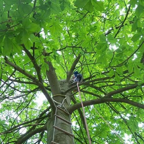 {Lifestyle} Mes p’tits bonheurs {Lifestyle} Mes p’tits bonheurs