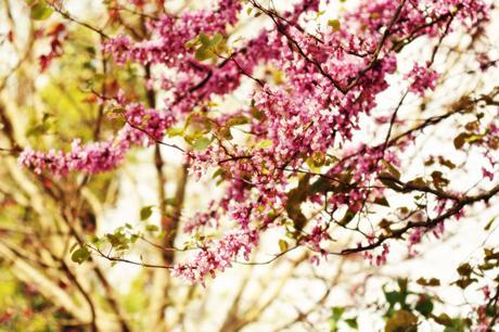 look-printemps-bensimon-blog-mode-vanessa-bruno