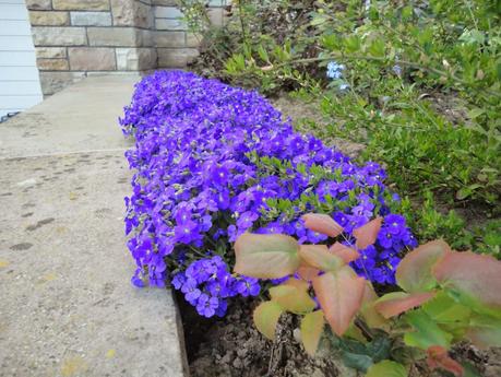 petit rappel de printemps