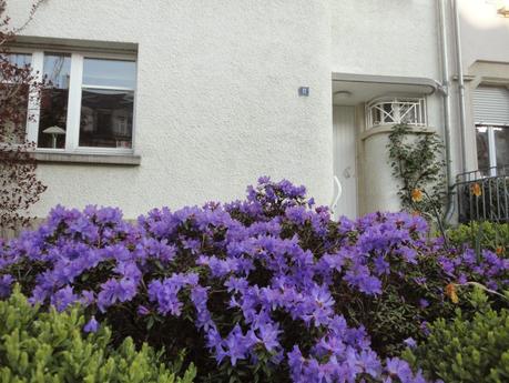 petit rappel de printemps