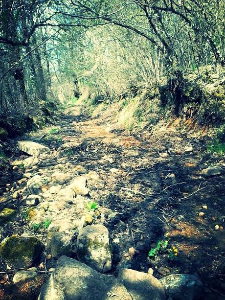 Via de la Plata.  Étape 19 en images!