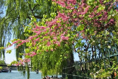Au bord de l'eau...!
