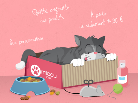 maioubox visuel