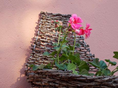 Troie pur sang et Vals qui rit