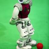 Découvrez la RoboCup 2014