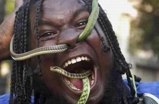 Serpents du nez à la bouche