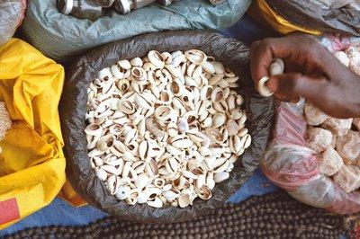 choc cauris féminins sénégalais