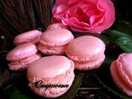macarons___la_rose