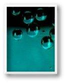 scrogneugneu attitude