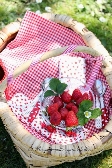 Copie de Copie de Photo 5298