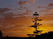 Malte, coups coeur restaurants