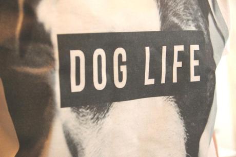 Dog Life (CONCOURS)
