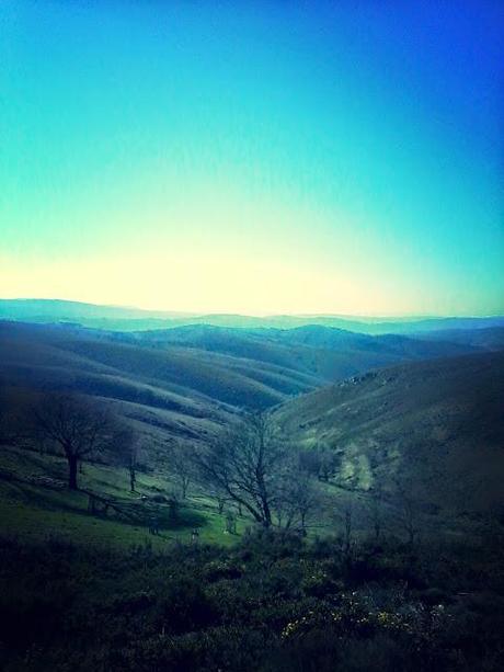 Via de la Plata étape 20 en images!